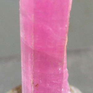 Puede incluir: Un vibrante cristal de turmalina rosa, de forma rectangular, se alza verticalmente. La gema muestra una superficie lisa y pulida con sutiles líneas internas y un borde ligeramente irregular. El cristal se encuentra sobre un fondo neutro.