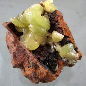 May include: A raw mineral specimen featuring clusters of translucent, pale yellow-green crystals growing from a porous, dark brown and rust-coloured iron-rich matrix. The crystalline formations exhibit a radiating, fan-like structure.