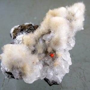 Puede incluir: Primer plano de un espécimen mineral con grupos de cristales blancos y esponjosos en forma de aguja. Los cristales se asientan sobre un fondo de estructuras cristalinas claras y una base rocosa oscura. Se observa una pequeña inclusión mineral de color rojo brillante.