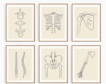 Orthopädie Line Zeichnung, Kunst Set von 6 Sofortiger download Kunstdruck, digital druckbare Kunst, Biologie, Chiropraktor-Wand-Dekor, Linie Illustration