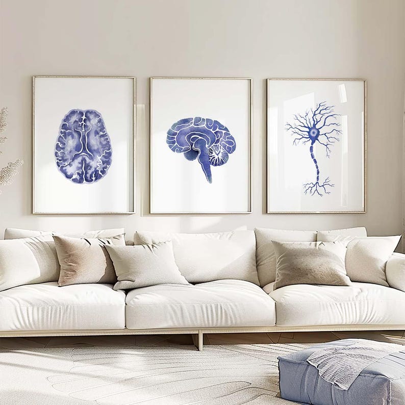 May include: Three framed prints showcasing blue watercolour illustrations of brain anatomy. The prints depict a brain cross-section, a side view of the brain, and a neuron. The artwork is displayed above a white sofa with neutral-toned cushions.