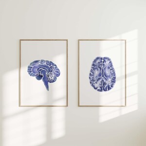 May include: Two framed watercolour prints of the human brain. The brain illustrations are in shades of blue and purple, set against a white background. The frames are a light brown colour. One print shows a side view, the other a top view.