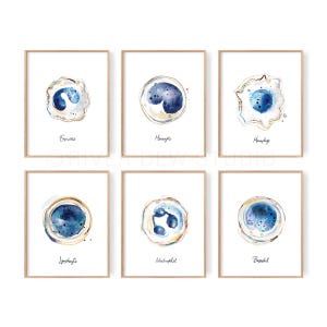 White Blood cells Art Set of 6 Instant download Art Print, Immune cells Digital Printable Art, Biology, Blue Watercolor wall decor