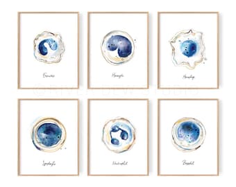 Weiß Blutkörperchen Art Set von 6 Sofortiger Download Kunstdruck, Immunsystem Zellen, Digital druckbare Kunst, Biologie, blau Aquarell-Wanddekor
