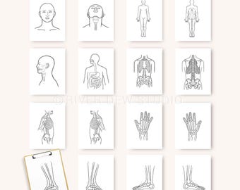Body Form Zeichnungen, Anatomie Abbildungen 16 Seiten, Sofort-Download, Digitaldruck