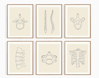 Wirbelsäulen Orthopädie Line Zeichnung Art Set von 6 Sofortiger download Kunstdruck, digital druckbare Kunst, Chiropraktor Wand-Dekor, Linie Illustration