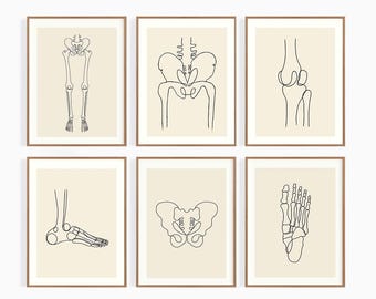 Bein, Fuß, Becken Orthopädie Line Zeichnung Art Set von 6 Sofortiger download Kunstdruck, digital druckbare Kunst, Chiropraktor Illustration Dekor
