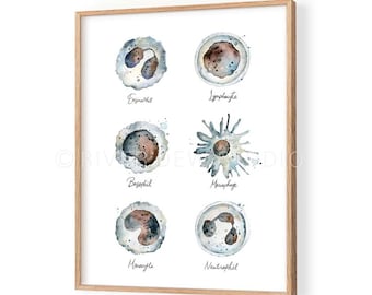 Weiß Blutkörperchen Kunst Wissenschaft Druck, Sofortiger Download Kunstdruck, Digital Druckbare Mikrobiologie Abstrakt AquarellImmunologie Kunst zum ausdrucken