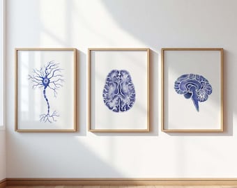 Gehirn Art Sofortiger Download Art Print, Gehirn Kunst Digital druckbare Kunst, Neuron digitale Kunst 3er-Set, Neurologie-Wanddekor