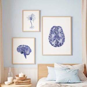 May include: Three framed watercolour prints of the brain and a neuron in shades of blue. The prints are displayed on a light blue wall above a bed with light blue pillows and a wooden headboard. The frames are a light wood colour.