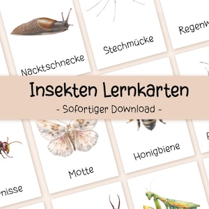 28 Insekten Lernkarten für Kinder | PDF zum Ausdrucken – Montessori Lernmaterial Kita Vorschule Grundschule Zuhause | Natur | Deutsch