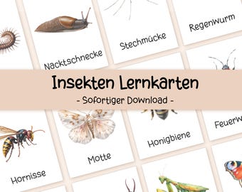Insect Flash Cards for Kids | Montessori Learning Printables (PDF)