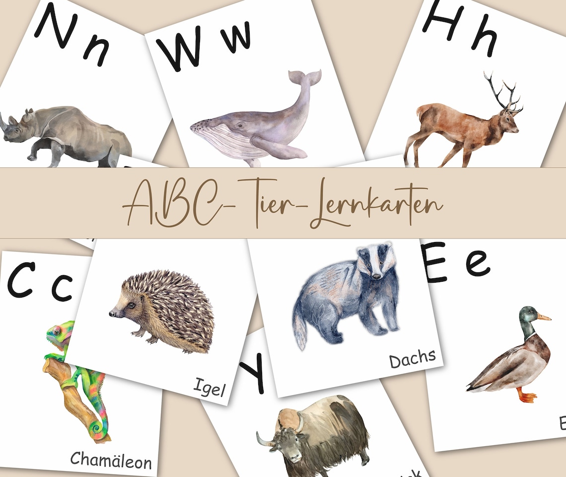 ABC Lernkarten Tiere | Montessori Buchstaben Karten | ABC-Wandbild