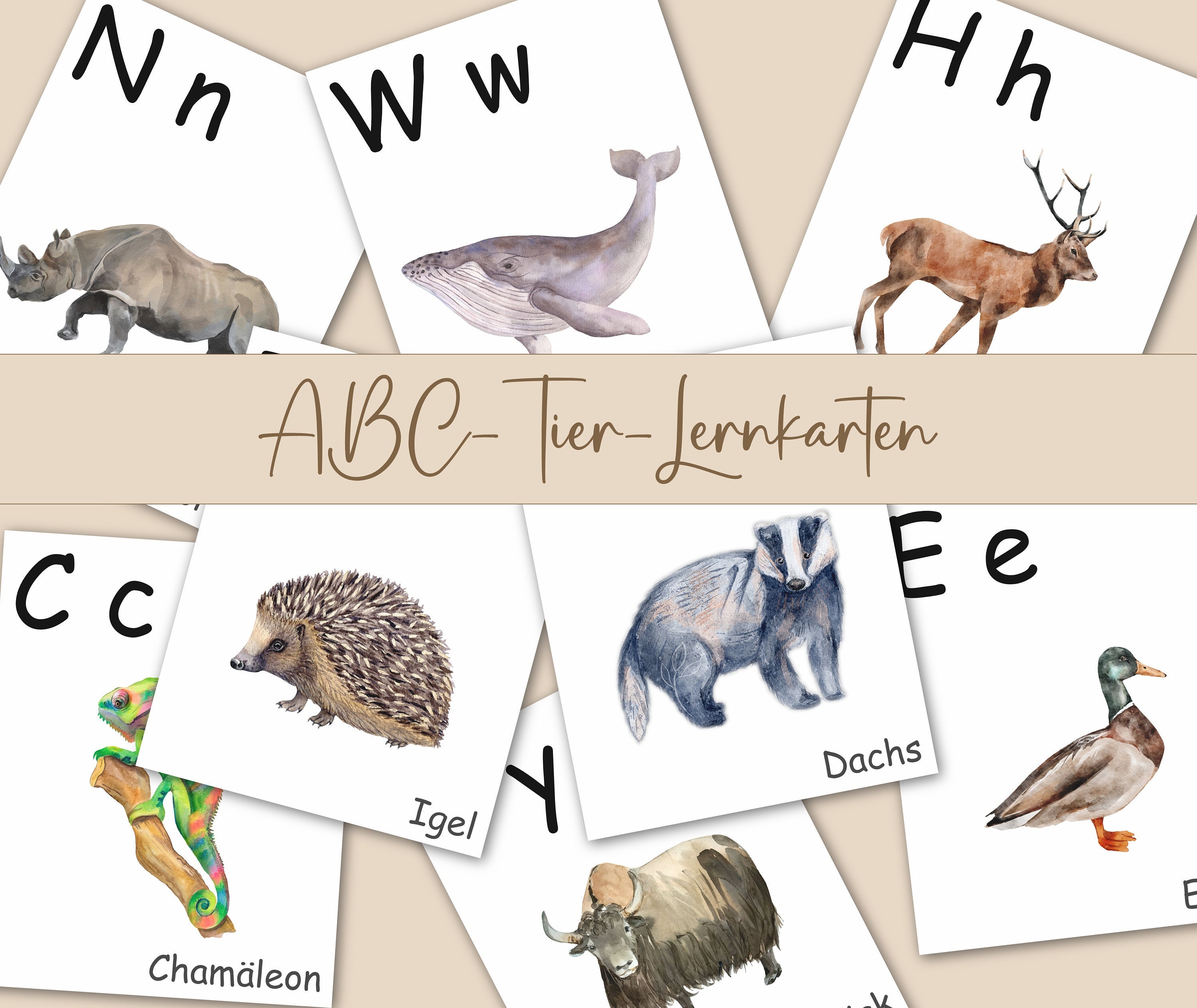 ABC Lernkarten Tiere | Montessori Buchstaben Karten | ABC-Wandbild