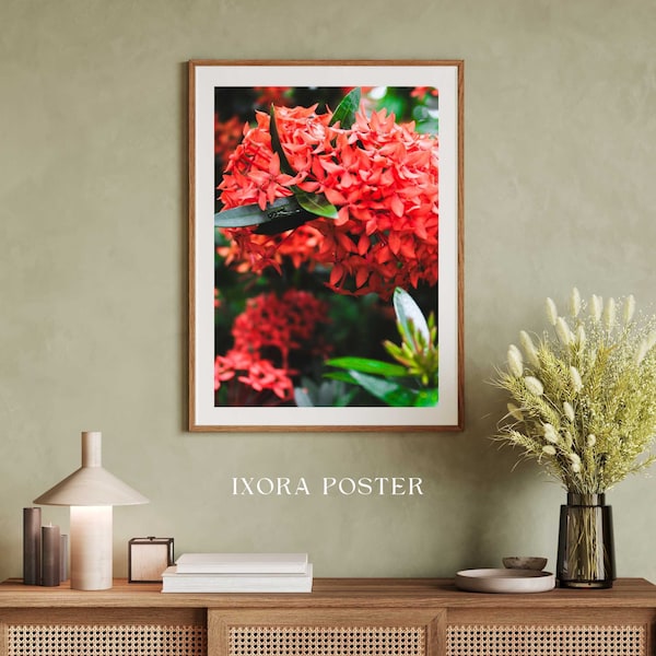 Chinese Ixora Flower | Floral Wall Print | Flower Plant Real Photography Print | Printable Wall Art Digital Download