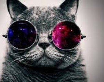May include: A grey cat wearing round, mirrored sunglasses with a galaxy pattern. The cat is looking directly at the camera.