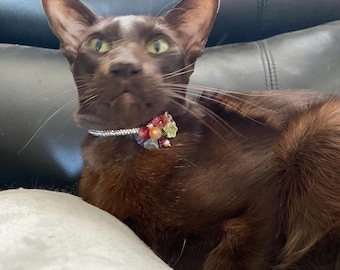 May include: A brown cat with green eyes wearing a decorative collar with colorful floral accents. The cat is lying down on a light-colored surface, with a dark background.