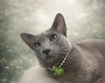 Grey Pearl Cat Collar with Green Garden Flowers | Magnetic Safety Clasp  Decorative Pet Jewellery