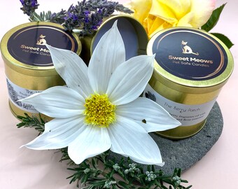 Pet Safe Soy Candle, Natural Pet-Friendly Wax, Aromatherapy Candle, Stress Relief, Relaxation, Gift for Pet Owners