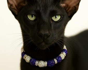GlamourPaws Glitter Collar – Custom Sparkle for Stylish Pets