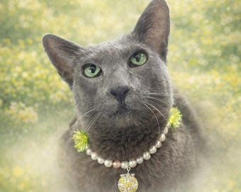 Freshwater Pearl Cat Collar with Rhinestone Ball Charm | Magnetic Safety Clasp