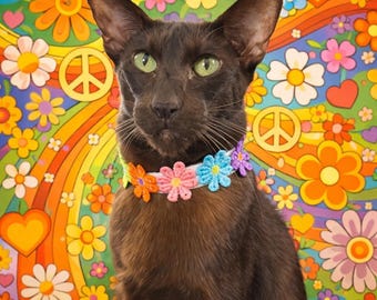 Flower Power Daisy Cat Collar – Retro 60’s Lace, Soft Webbing & Safety Magnet Clasp