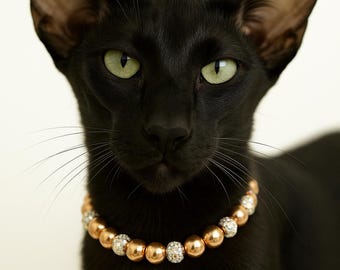 King Midas Gold Pet Collar. Magnet or Lobster Clasp