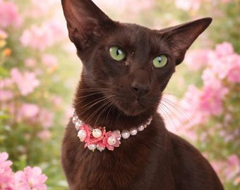 Sakura Pearl Cat Collar – Limited Edition Floral with Gilt Petals & Magnetic Clasp