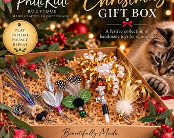 Christmas Gift Box - Handmade Cat Toys - Insect Attachments