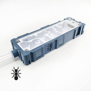 Mierennest (5 x 15 cm) met wit natuurlijk interieur | benodigdheden voor mierenmieren | 3D-geprint formicarium in meerdere kleuren voor mierenliefhebbers