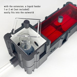 Ants Founding Nest With Small Outworld en red cover lid | formicaria ant supplies | Multiple color formicarium for hobby ant keepers