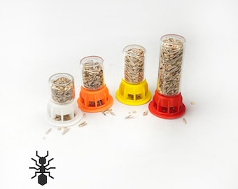 Ants Grain Feeder, Gravity Feeding Tower for Messor ants | formicaria ant supplies | Multiple color formicarium for hobby ant keepers