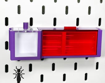 Ant Wall Queen Founding module, A great place for a new queen ants to start | formicaria ant supplies | Multiple color for hobby ant keepers