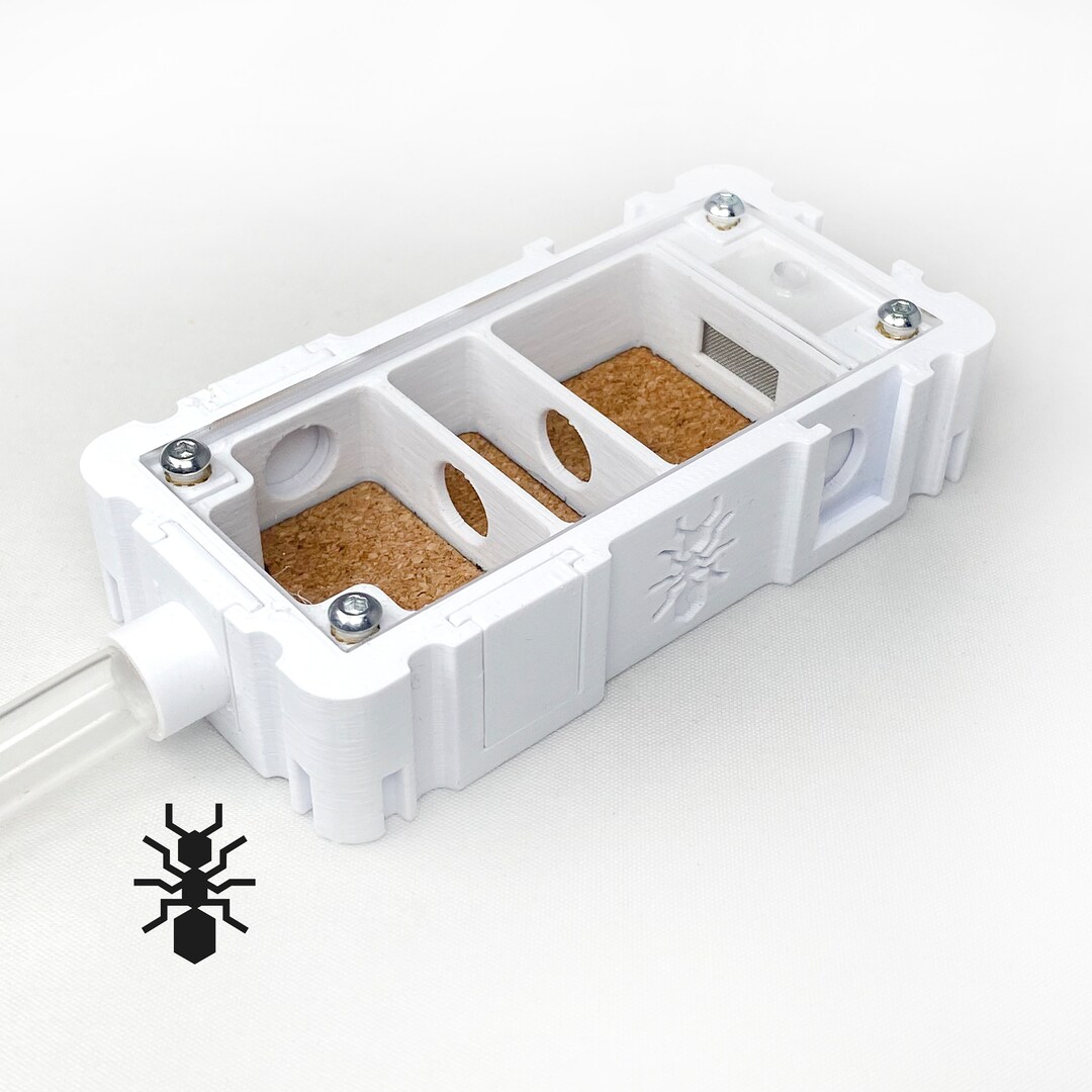 Ant Nest Clean Cork Inlay 5x10 Module | Formicaria Ant Supplies ...