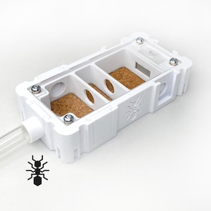 Module 5 x 10 incrustations de liège Ant Nest Clean | fournitures pour fourmis formicaria | Formicarium multicolore pour les amateurs de fourmis