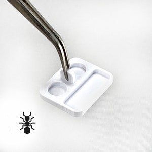 Ant Feeding Dish Large, Liquid or solid food | formicaria ant supplies | Multiple color Mini Bowls for hobby ant keepers