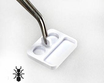 Ant Feeding Dish Large, Liquid or solid food | formicaria ant supplies | Multiple color Mini Bowls for hobby ant keepers