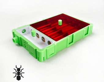 Ants Founding Nest 10x15 With Red Cover Lid | formicaria ant supplies | Multiple color formicarium for hobby ant keepers