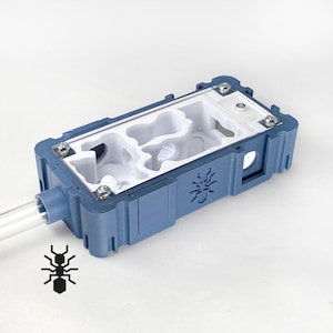 Ameisen-Nest Natur Inlay 5x10 Modul | Formicarie Ameisen Zubehör | Mehrfarbiges Resopal für Hobby-Ameisenhalter
