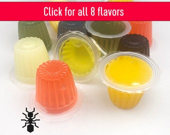 Protein and Sugar Jelly for ants, beetles and other pet animals, multiple flavor options | 3D-printed formicarium by Black Ant Creation