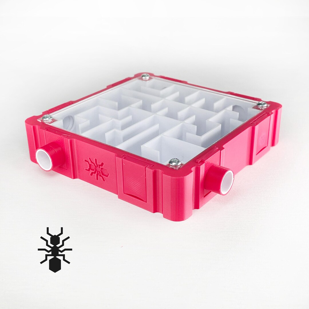Ant Labyrinth (10x10cm) With White Interior | Formicaria Ant Supplies ...