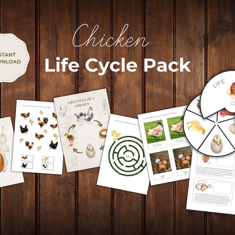 Life Cycle Puzzle - Etsy
