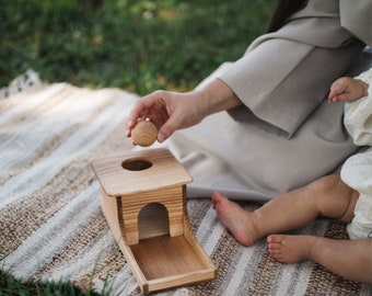Montessori Object Permanence Box with Tray | Baby First Learning Toy | Wooden Ball Drop | 8M+