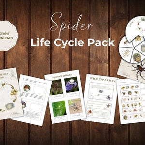 Cartes mémoire imprimables Spider Unit Study Pack cycle de vie Étude de la nature Montessori Homeschool Feuilles de calcul imprimables Préscolaire Apprentissage de l'école à la maison