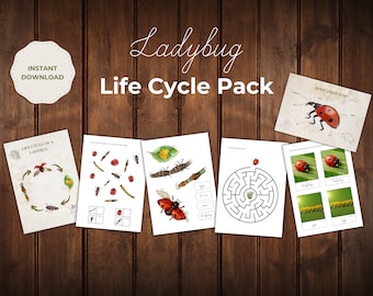 Ladybug Life Cycle Unit Study, Insect Nature Study, Preschool Worksheets, Spring Bug Activities PDF