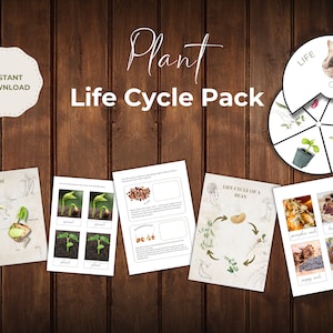 Étude d'unités végétales Cartes-éclair imprimables Pack cycle de vie Étude de la nature École à la maison Montessori Feuilles de calcul imprimables Apprentissage de l'école à la maison pour les enfants d'âge préscolaire