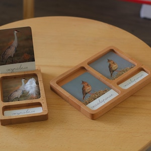 Peut inclure: Un ensemble éducatif en bois clair composé de deux plateaux rectangulaires avec des fentes pour cartes et images. Un plateau contient une carte avec une grue et une plume blanche, l'autre deux cartes avec des alouettes. Texte cyrillique présent.