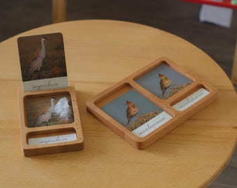 Montessori Three-Part Card Trays | Wooden Learning Organizer | Educational Material Storage
