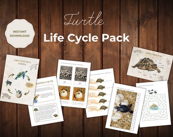 Turtle Life Cycle Nature Study - Etsy