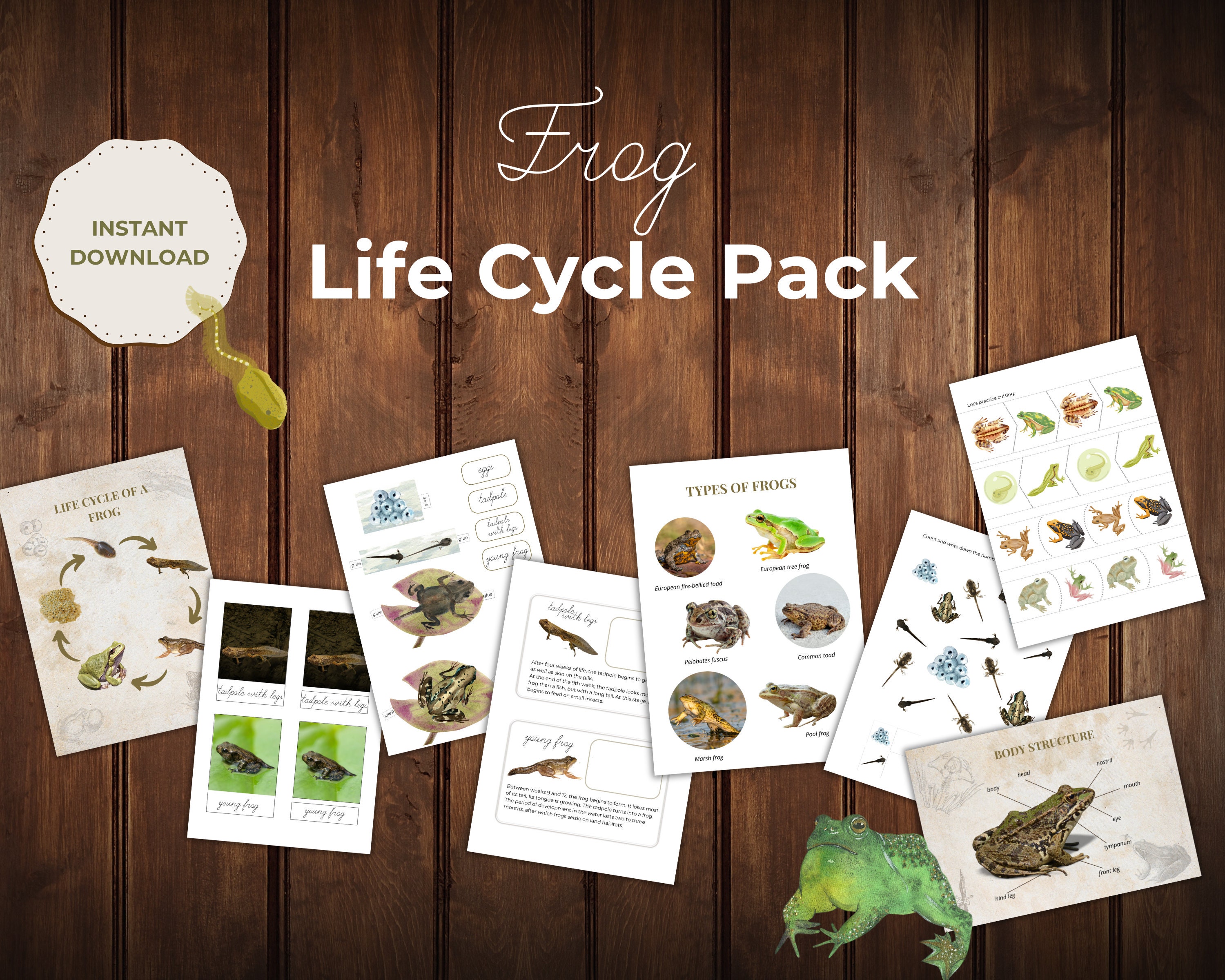 Frog Life Cycle Unit Study | Metamorphosis Learning Pack | Pond Animals ...